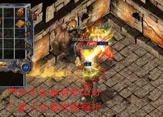 ����װ��������ô�ã����ֱؿ����Խ���