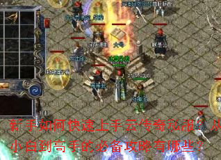 ������ο��������ƴ���˽������С�׵����ֵıر���������Щ��