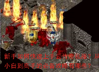 ������ο��������ƴ���˽������С�׵����ֵıر���������Щ��