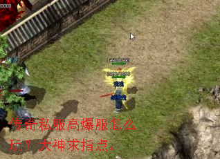 ����˽���߱�����ô�棿������ָ�㡣