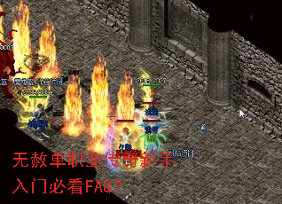 ���ⵥְҵ�����������űؿ�FAQ��