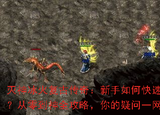 ������𸴹Ŵ��棺������ο������֣����㵽��ȫ���ԣ��������һ����