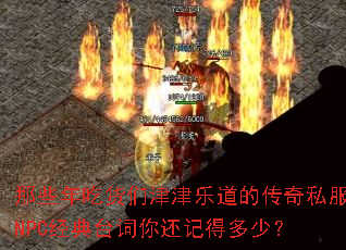 ��Щ��Ի��ǽ���ֵ��Ĵ���˽��NPC����̨���㻹�ǵö��٣�