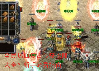 ȫ����Ѫ���Ŵ��湥�Դ�ȫ�����ֱؿ�ָ��