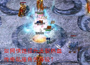 ��ο�������������Ѫ����˽����ɫ�ȼ���