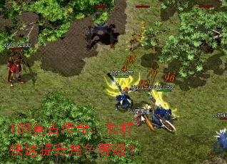 185���Ŵ��棺��������������ɫ�ȼ���