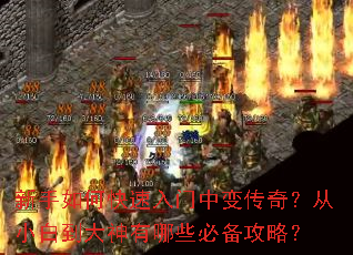 ������ο��������б䴫�棿��С�׵���������Щ�ر����ԣ�