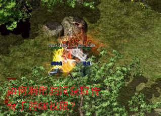 �������©����ȡ��������GMȨ�ޣ�