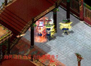 ������л�ʵ������������