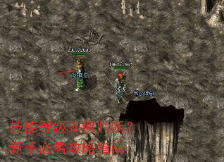 ���ܵȼ�����жϣ����ֱؿ�����ָ��