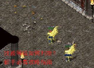 ���ܵȼ�����жϣ����ֱؿ�����ָ��