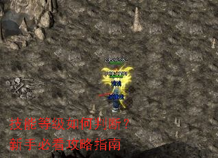 ���ܵȼ�����жϣ����ֱؿ�����ָ��