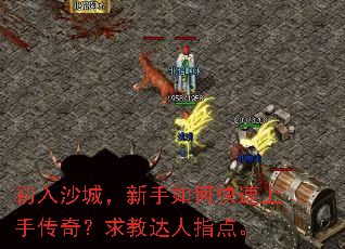 ����ɳ�ǣ�������ο������ִ��棿��̴���ָ�㡣