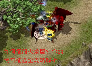 ������������棿��Ĵ�����;ȫ���Խ���