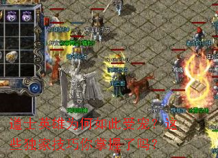 ��ʿӢ��Ϊ������ܳ裿��Щ���Ҽ�������������