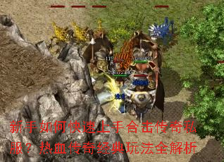 ������ο������ֺϻ�����˽������Ѫ���澭���淨ȫ����