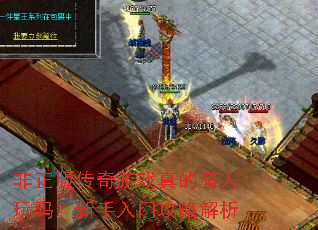 �����洫����Ϸ������������������Ź��Խ���