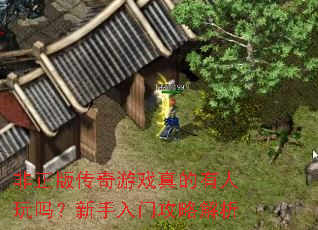 �����洫����Ϸ������������������Ź��Խ���