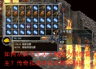 如何从新手王夫人蜕变为玛法霸主?传奇私服终极攻略全解析 如何从新手王夫人蜕变为玛法霸主?传奇私服终极攻略全解析