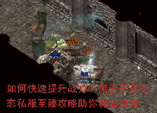 ��ο�������ս����������˫��̬˽�����鹥������ư�ɳ��