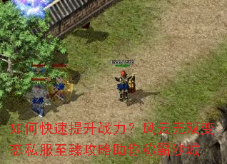 ��ο�������ս����������˫��̬˽�����鹥������ư�ɳ��