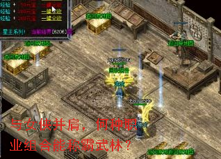 与女侠并肩,何种职业组合能称霸武林? 与女侠并肩,何种职业组合能称霸武林?