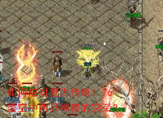 ���Ӧ�Ը��Ŵ���1.76�������ֻ���޵�ͻϮ��