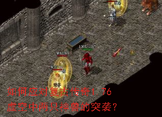 ���Ӧ�Ը��Ŵ���1.76�������ֻ���޵�ͻϮ��