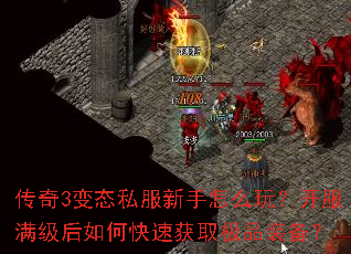 ����3��̬˽��������ô�棿������������ο��ٻ�ȡ��Ʒװ����