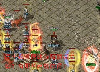 ��ʿ��ο��ٻ�ȡ����װ��������Щ��Ч;����