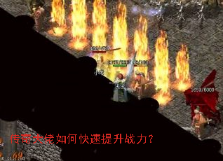 ���������ο�������ս����