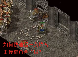 ��ο�������Ӣ�ۺϻ������ɫ�ȼ���