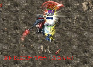 ��ο��������������½�ɫ�ȼ���