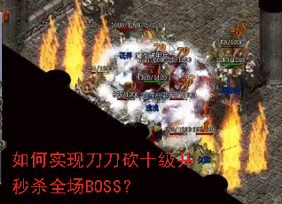 ���ʵ�ֵ�����ʮ������ɱȫ��BOSS��