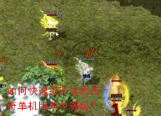 如何快速提升迷失传奇单机版角色等级? 如何快速提升迷失传奇单机版角色等级?