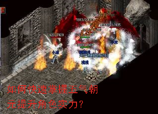 ��ο�������������Ԫ������ɫʵ����