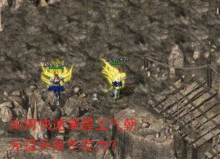 ��ο�������������Ԫ������ɫʵ����