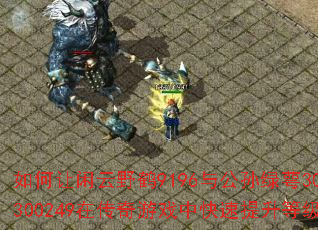 ���������Ұ��9196�빫������302300249�ڴ�����Ϸ�п��������ȼ���