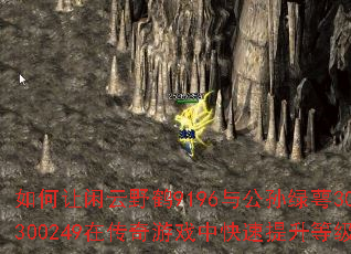 ���������Ұ��9196�빫������302300249�ڴ�����Ϸ�п��������ȼ���