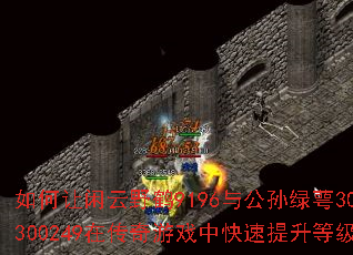 ���������Ұ��9196�빫������302300249�ڴ�����Ϸ�п��������ȼ���