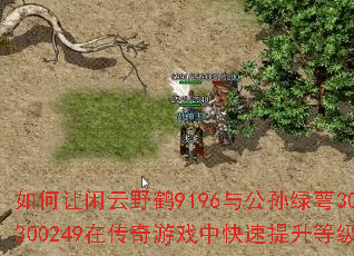 ���������Ұ��9196�빫������302300249�ڴ�����Ϸ�п��������ȼ���