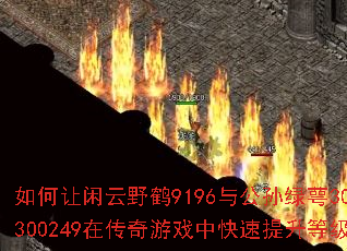 ���������Ұ��9196�빫������302300249�ڴ�����Ϸ�п��������ȼ���