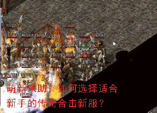 �������������ѡ���ʺ����ֵĴ���ϻ��·���