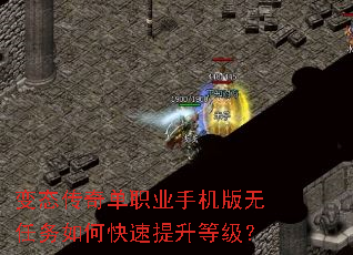 ��̬���浥ְҵ�ֻ�����������ο��������ȼ���