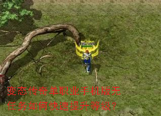 ��̬���浥ְҵ�ֻ�����������ο��������ȼ���