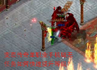 ��̬���浥ְҵ�ֻ�����������ο��������ȼ���