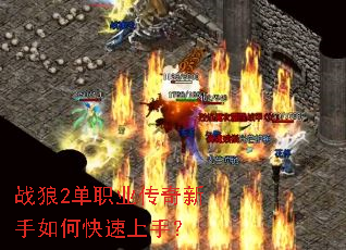 ս��2��ְҵ����������ο������֣�