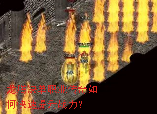 ���ھ���ְҵ������ο�������ս����