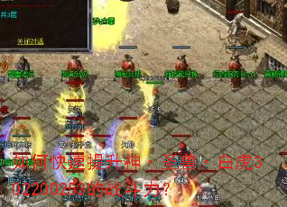 ��ο���������ʥ�ޡ��׻�302200253��ս������