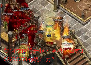 ��ο���������ʥ�ޡ��׻�302200253��ս������